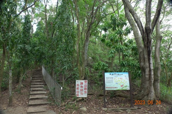彰化 田中 田中森林登山步道2198530
