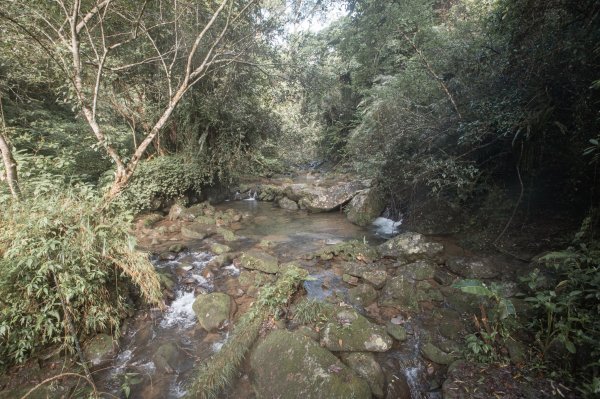 馬胎古道 （馬胎一期、南坪古道、內灣老街）3073793