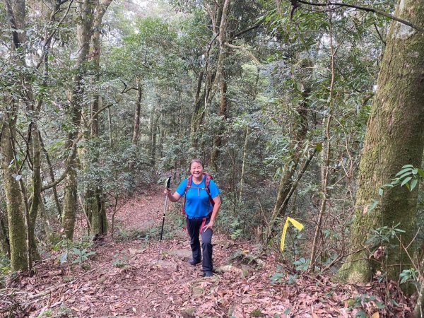鵝公髻山（小百岳）鵝公髻山東北峰2449853
