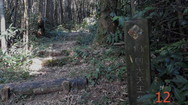 步道巡訪員│四大天王山步道二月巡訪日誌820762