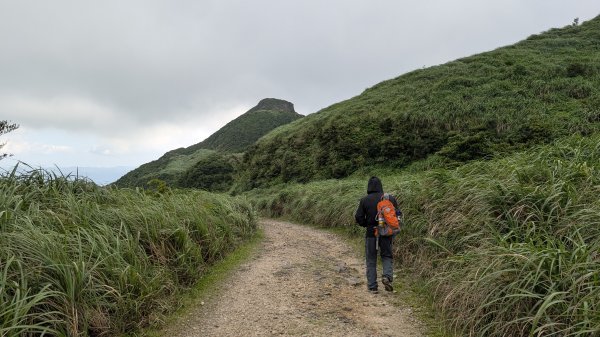 115.05.31燦光寮古道-草山-不厭亭之旅3067250