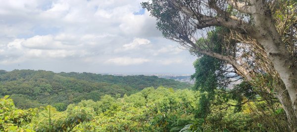 五酒桶山步道2789570