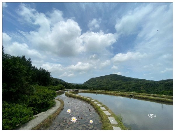 嵩山梯田 ( 新北、石門 )3049999