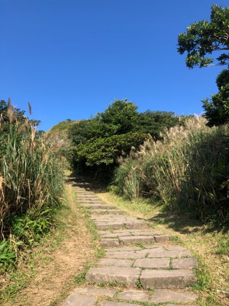 20191116草嶺古道灣坑頭山743323