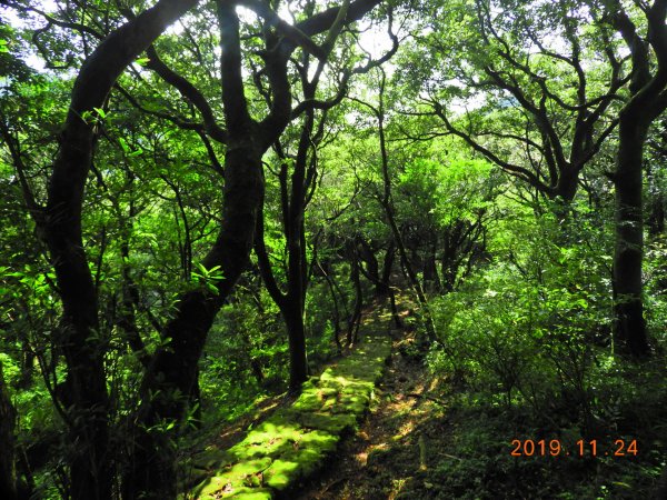 台北 士林 菜公坑山747795