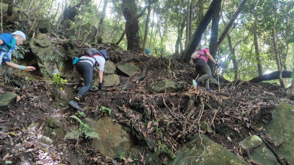 谷關黑白縱走2025年6月8日2808667