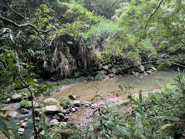 [皮皮獅探險隊-06/10] 2025_0706 四寮溪生態步道2831977