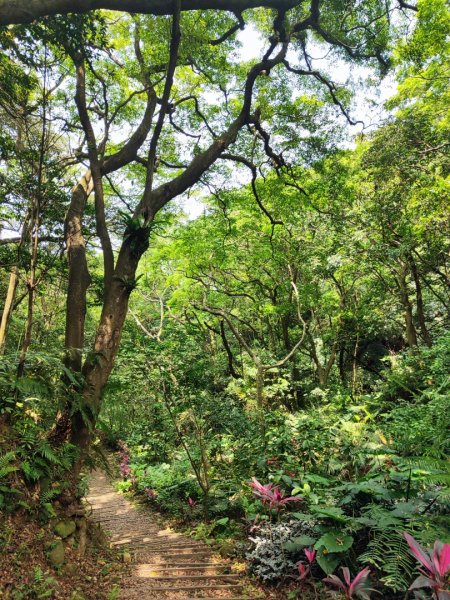 林口新林老公崎步道2773694