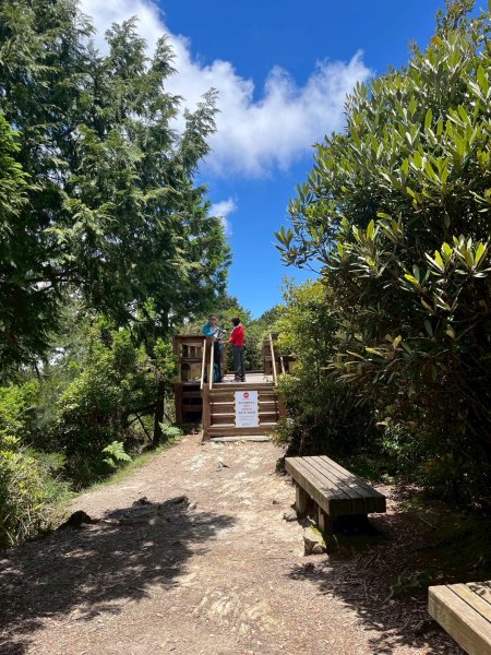 新竹 五峰 觀霧國家森林遊樂區 大鹿林道西線 榛山步道2811394