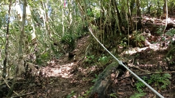 雙溪區竹子山-南勢坑山去回3077221