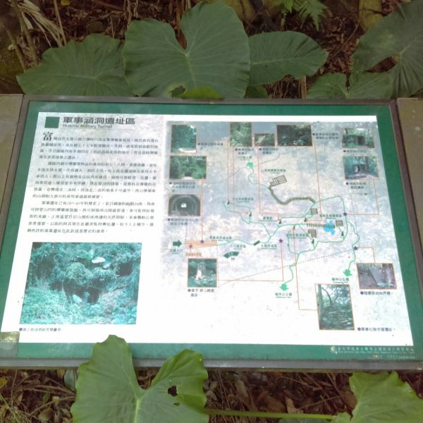 【全民抗疫大作戰】富陽生態步道、福州山831446