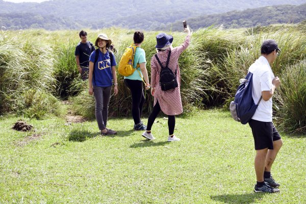 陽明山縱走東段（大崎頭至苗圃）515140