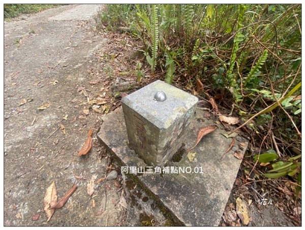 大凍山、頂湖步道 O型ㄧ圈2984154