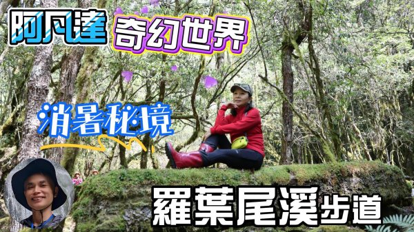隱密的高山森林親水秘境羅葉尾溪步道，松蘿垂掛、綠苔滿佈、水聲潺潺、奇形怪木，宛如置身阿凡達的奇幻世界。幽靜又消暑的步道，最搭羅馬縱走與平多縱走。