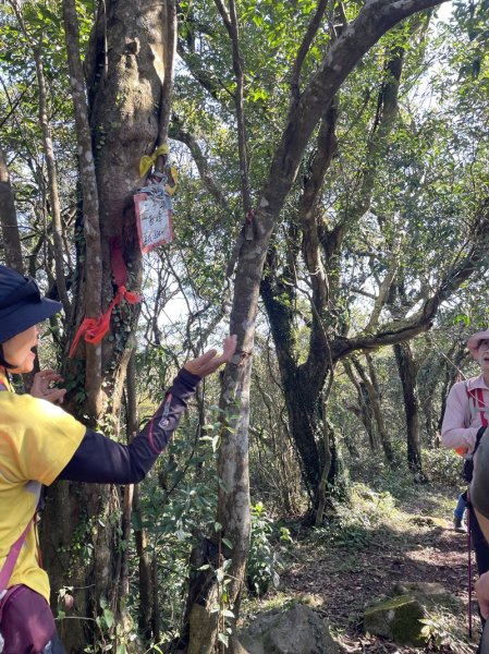 楓樹湖古道3012056