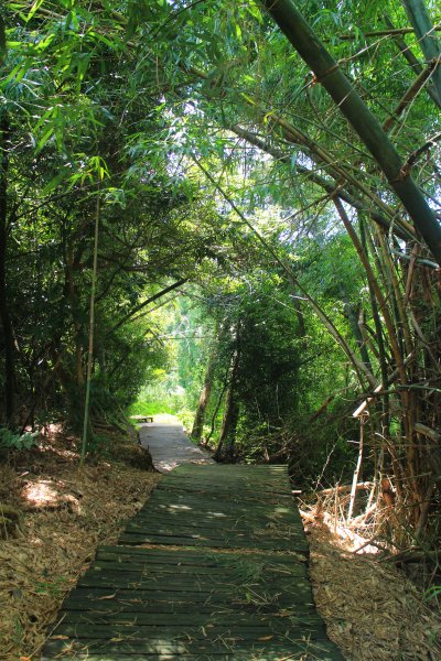 挑啊挑! 挑過山道 20190606759110