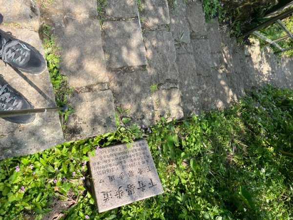 台北大縱走第一段2025/04/042753231