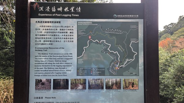 環繞在楓紅巨木和滿山翠綠的鞍馬山及大雪山小神木森林步道的悠哉山行記2996754