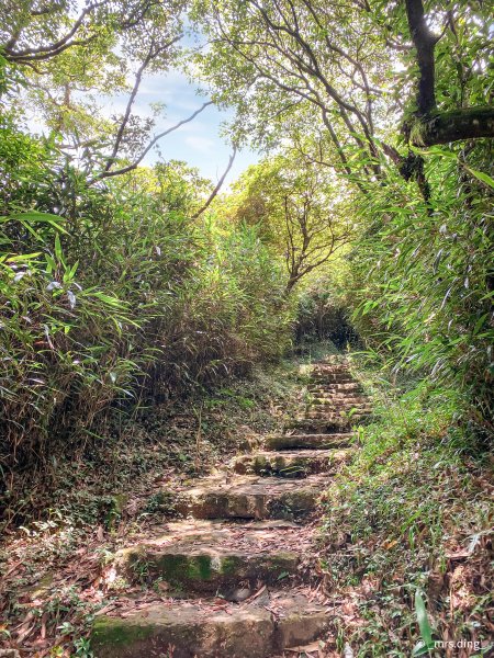 ＜小百岳＞台北市．大屯主峰步道1029919