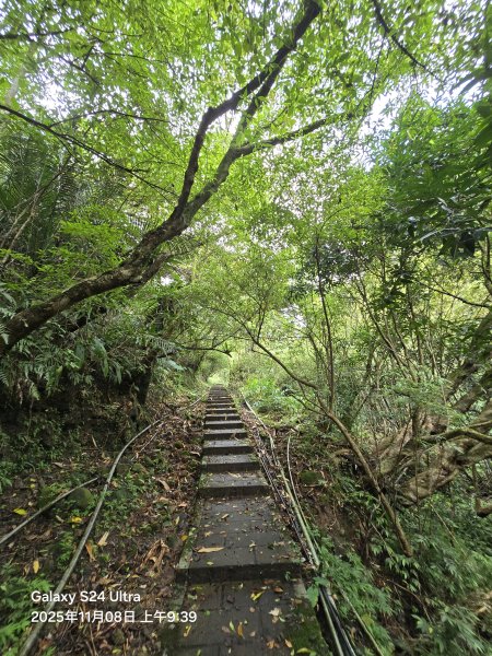 2025-11-08微笑山線：【五分山系】菁桐煤礦段2932708