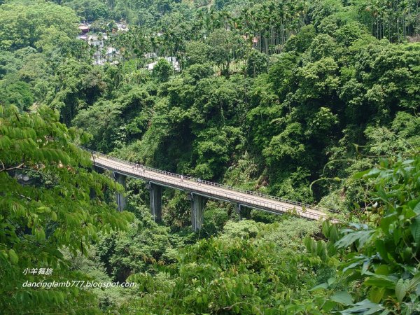 【嘉義】獨立山步道~ 火車、鐵道、山洞、吊橋一次滿足1811579