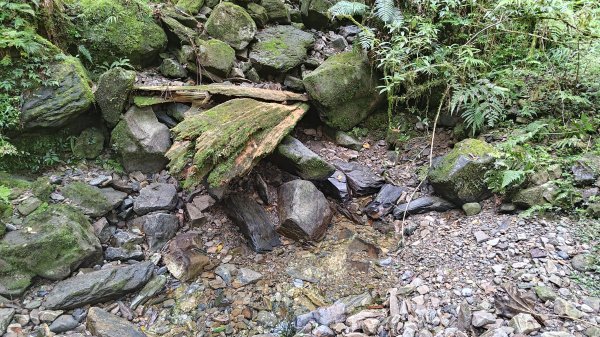 棲松縱走未竟2918402