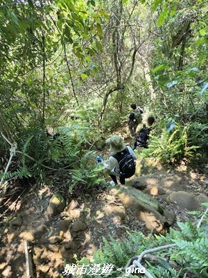 【桃園大溪】溪洲山步道(福山巖登山步道)3057157