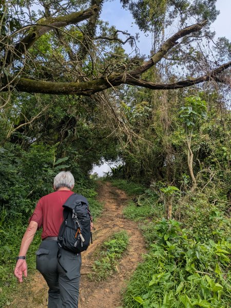 2025-06-08 臺北大縱走第六、七段2814200