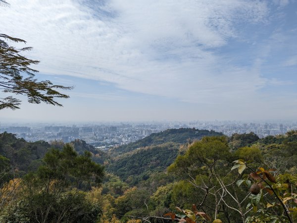 2023-02-04 大坑9、10號步道2792386