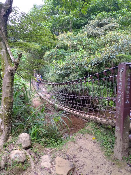 三貂嶺瀑布群步道→大華車站1053232