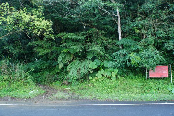 桃園-三峽 志繼山、東眼山、拉卡山、卡外山3005174