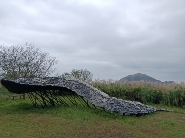瑞芳區本山地質公園步道+草山公路+百二崁古道+樹梅坪古道O型2945495