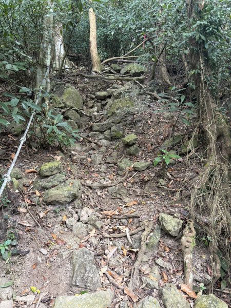 20251108白雲山步道2935193