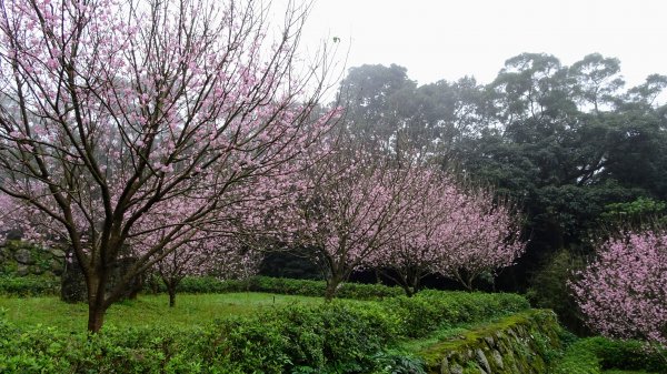 十八彎古道2026569