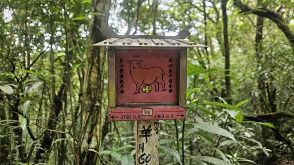 20260409四柑縱走3034425