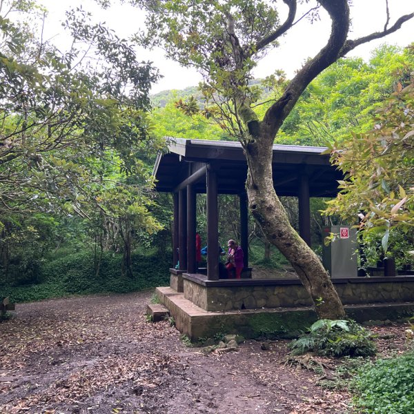 4/12台北大縱走第二段小油坑到二子坪2763658