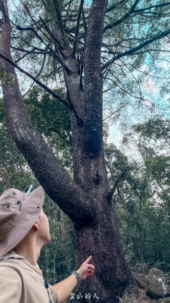 探勘路線上唐麻丹山3043666