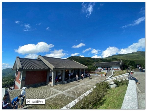 七星山步道、芒花搖曳3137679