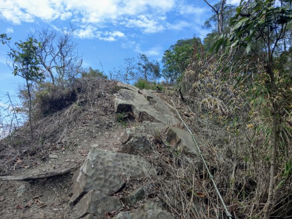 刣牛湖山(小百岳#70)登山步道1377403