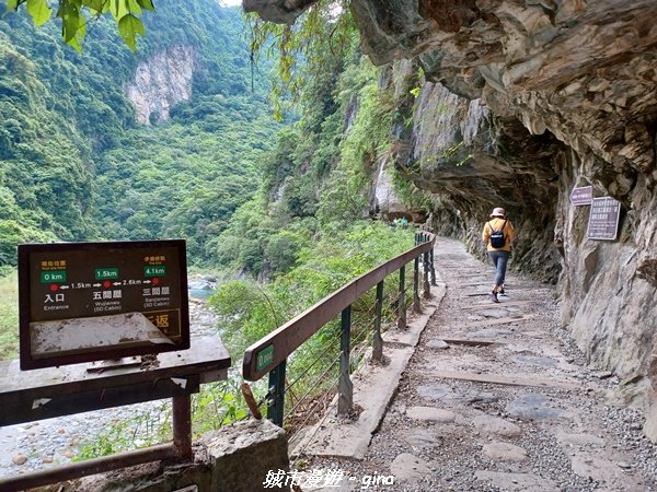 【花蓮秀林】美景天成。 砂卡礑步道2241819