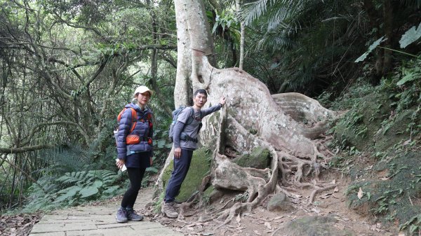 獵貍尖步道連走烏塗溪步道登山健行趣(淡蘭南路TK3-6&TK3-5&TK3-4)2404548