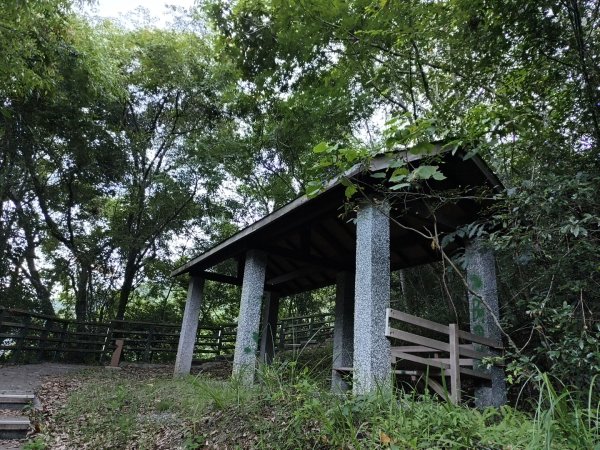 [玉山尋寶任務-07/12] 2025_0824 八通關雲龍瀑布步道2870405