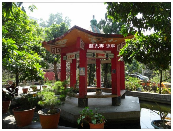 坪林山/台中-太平1283396