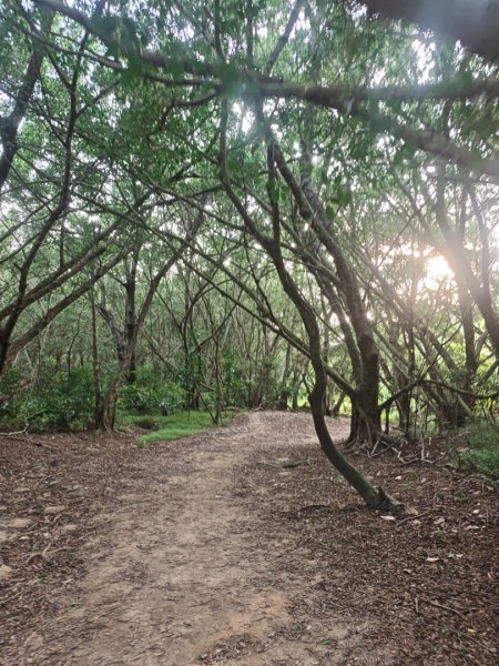 大肚萬里長城11年前的今天2926977