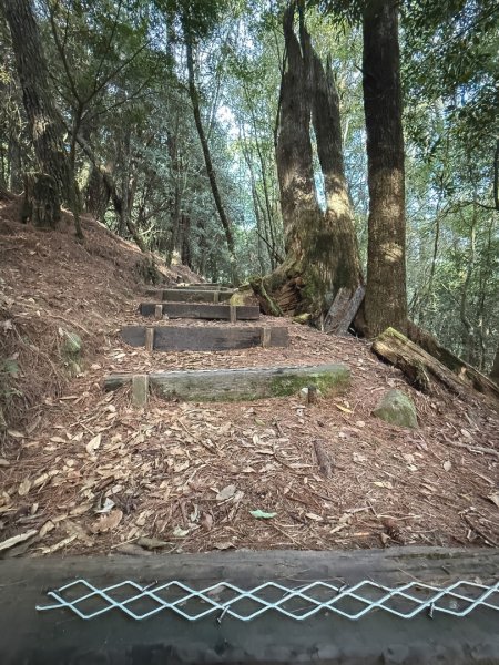 船型山林道賞雲海、烏石坑山、2432峰 山景海景一次到位2929310