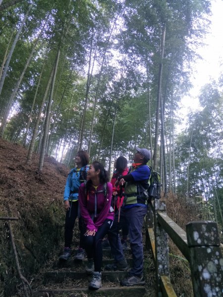 20181204嘉南雲峰、石壁山登山步道473364