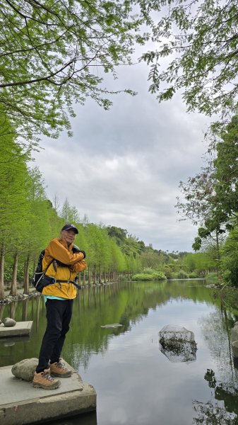 血藤秘境，步行30分鐘即可抵達，鳶山血藤大爆發，最佳賞花期只有7天，要去要快，鳶溪縱走2758590