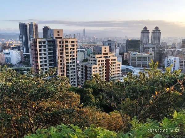 【臺北大縱走 5】碧山巖→忠勇山越嶺步道→金龍產業道路→圓明寺步道→鄭成功廟→潛園→格物台→劍潭古寺2959021