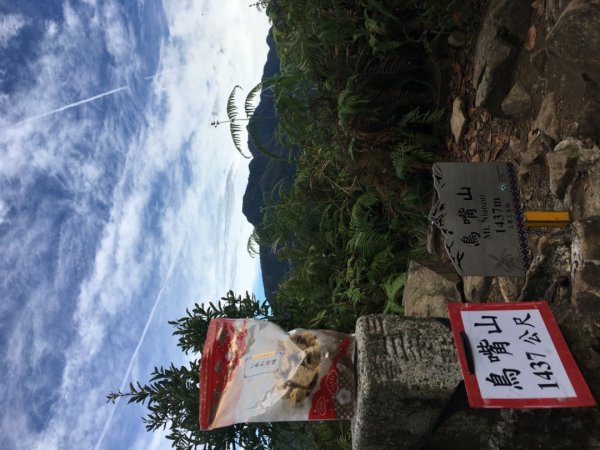 上島山（鳥嘴山2650167