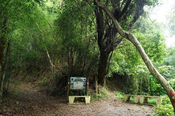 苗栗 大湖 金童山、玉女山、汶水山2806908